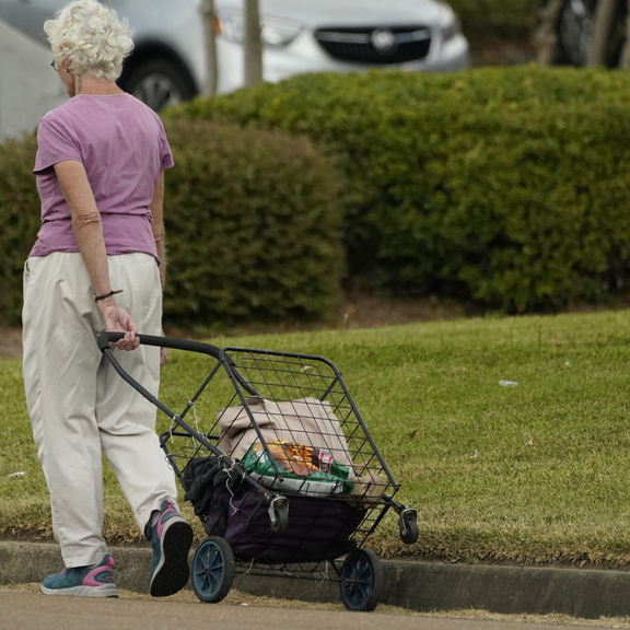 Older adult pulling a shopping cart