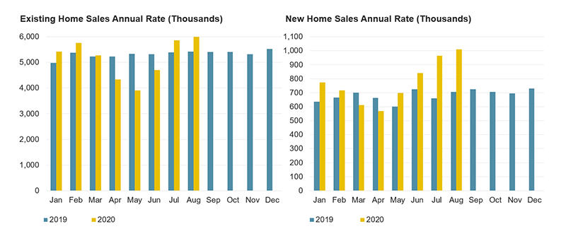 Shows the seasonally adjusted annual rate of both existing and new home sales in 2019 and 2020. Existing home sales fell significantly in April, May, and June before rebounding strongly in July and August. New home sales were lower year-over-year in March and April, but were at a much higher pace in July and August. Links to a larger version of the same image.