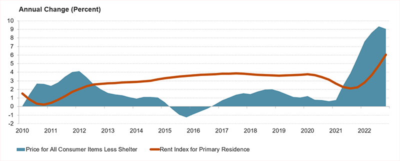This chart shows the Consumer Price Indices for Rent of Primary Residence and All Consumer Items Less Shelter from 2010–2022. Inflation of consumer goods and services picked up in 2021 and remained high through 2022. Meanwhile, rents dipped slightly in 2021 before also climbing rapidly through 2022.