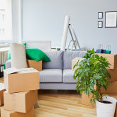 Living room with moving boxes.