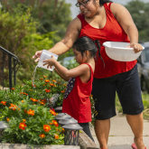 Woman helping child garden. 