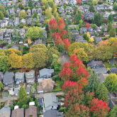 Aerial view of neighborhood.