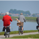 Older adults bicycling. 