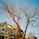 Rooflines of houses