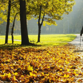 Two older people walking outdoors in the autumn.