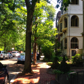 View of a shaded residential street in Cambridge, MA.