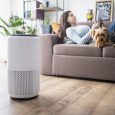 Air conditioner in apartment with person and dog lying on couch.