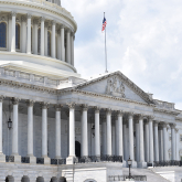View of the US Capitol building.