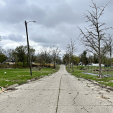View of cracked roadway with trees.