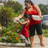 Mother and daughter watering plants in front yard.