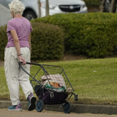 Older adult pulling a shopping cart