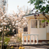 View of small house in garden.