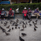 Elderly people sitting on a bench