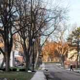 Street with housing