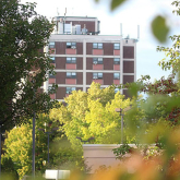 View of public housing building through trees