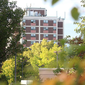 View of public housing building through trees