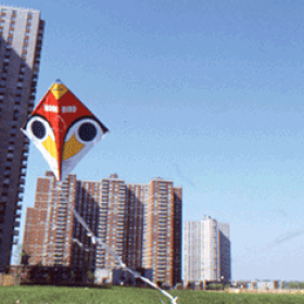 co-op-city_adam_tanaka2_547x235.png