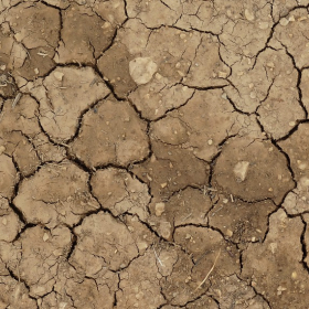 dry-land-1624988_960_720.jpg