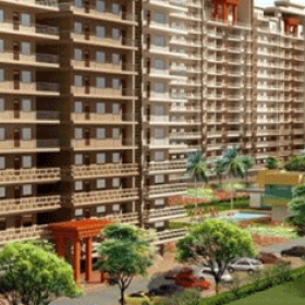 munkacy_gid_india-guragon_547x235.png