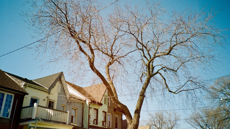 Rooflines of houses