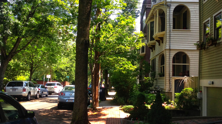 View of a shaded residential street in Cambridge, MA.