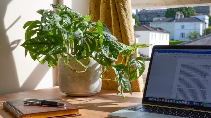 Desk with laptop and open window showing view of neighborhood beyond.