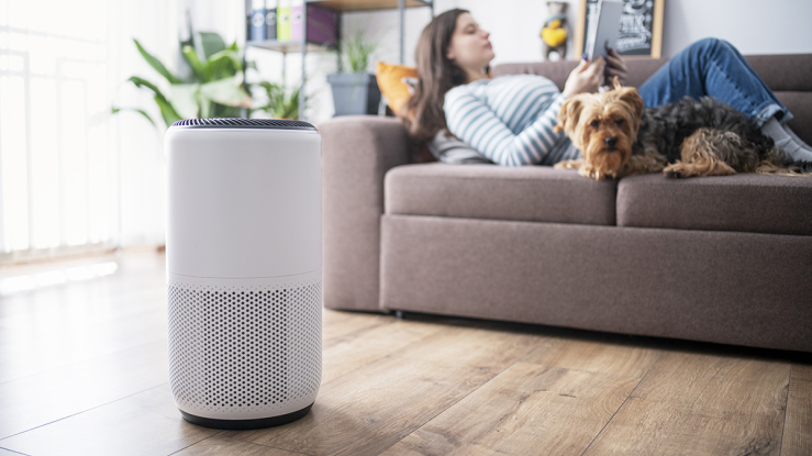 Air conditioner in apartment with person and dog lying on couch.