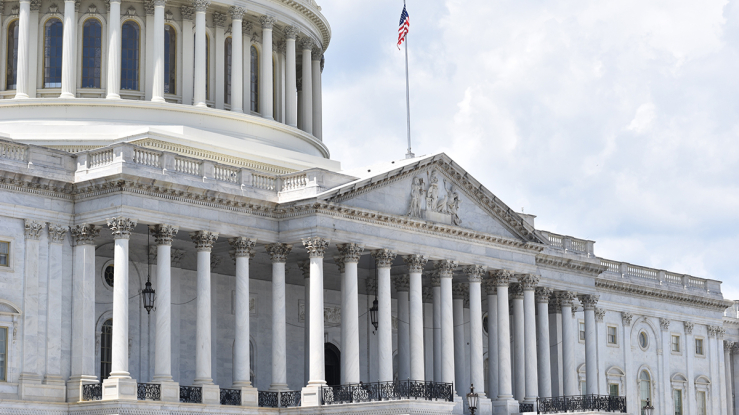 View of the US Capitol building.