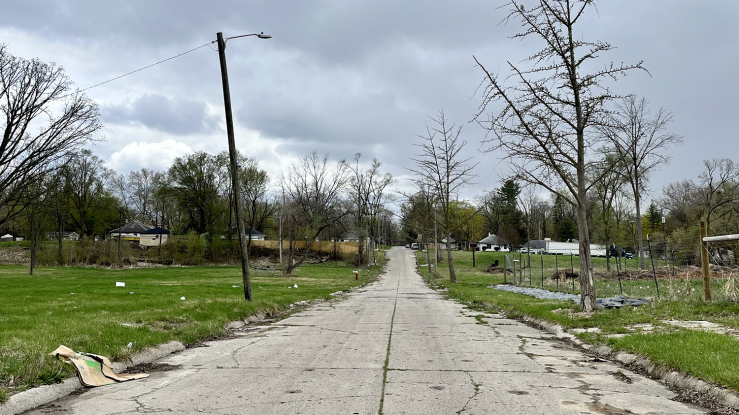 View of cracked roadway with trees.