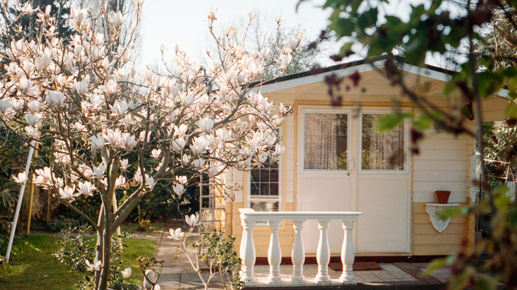 View of small house in garden.