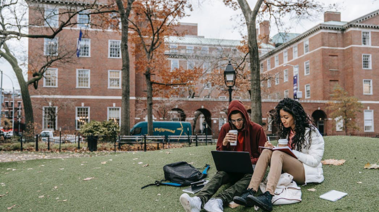Harvard students 