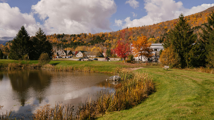 View of rural neighborhood with lake.