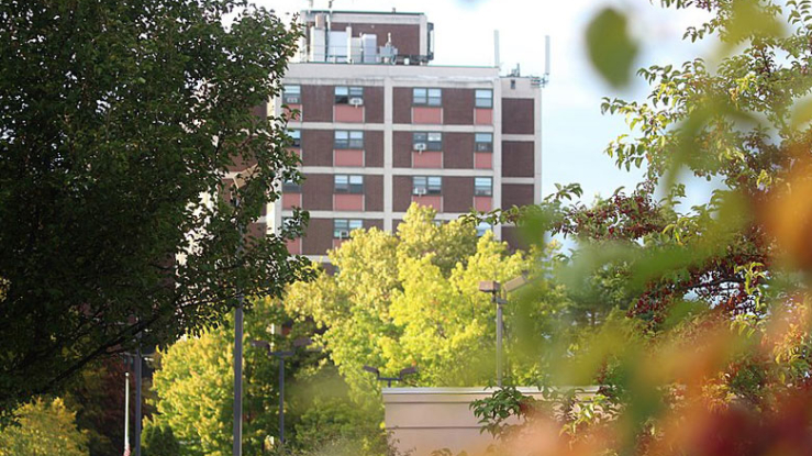 View of public housing building through trees