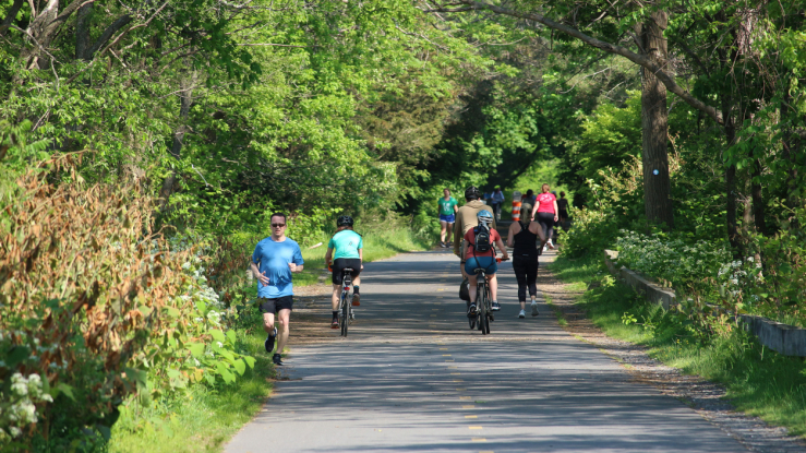 Runners and bikers on a tree-lined trail.