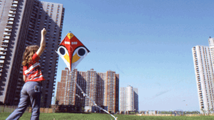 co-op-city_adam_tanaka2_547x235.png