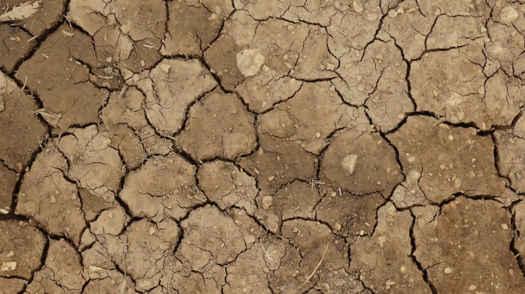 dry-land-1624988_960_720.jpg
