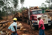 im-70692.jpg