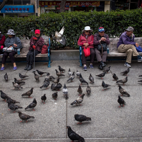 Elderly people sitting on a bench
