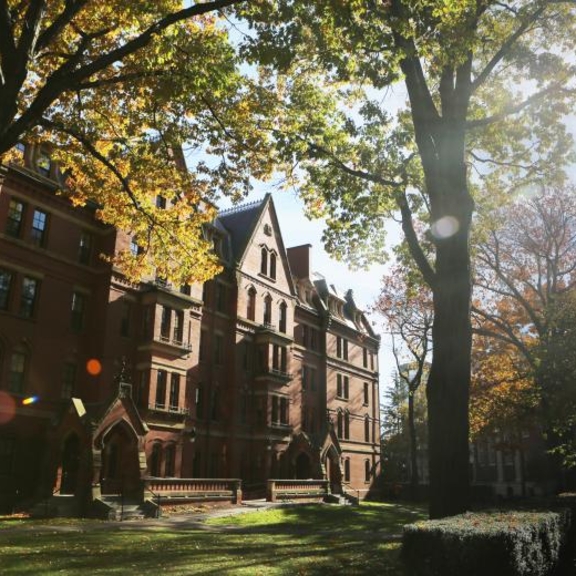 Harvard campus