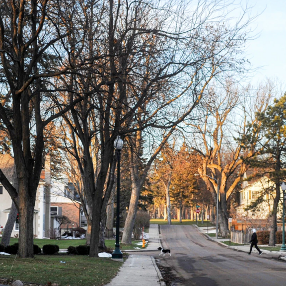 Street with housing