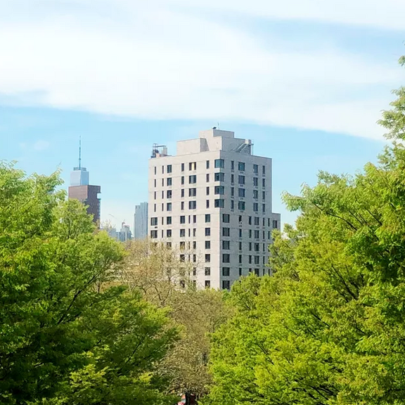 curbed_nyc_public_housing_022020.PNG