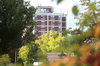 View of public housing building through trees
