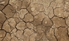 dry-land-1624988_960_720.jpg