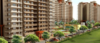 munkacy_gid_india-guragon_547x235.png