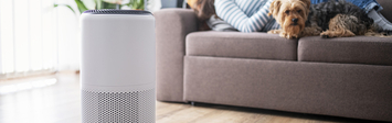 Air conditioner in apartment with person and dog lying on couch.