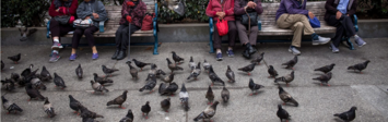 Elderly people sitting on a bench
