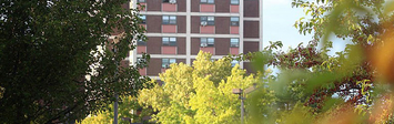 View of public housing building through trees